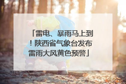 雷电、暴雨马上到！陕西省气象台发布雷雨大风黄色预警