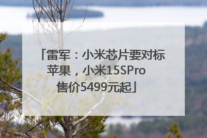 雷军：小米芯片要对标苹果，小米15SPro售价5499元起