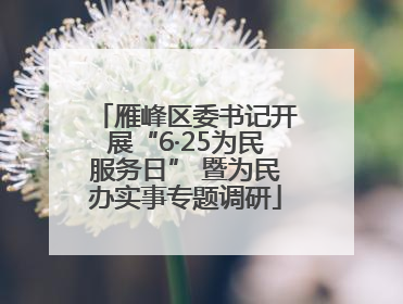 雁峰区委书记开展“6·25为民服务日” 暨为民办实事专题调研