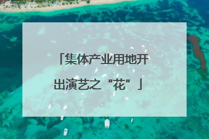 集体产业用地开出演艺之“花”