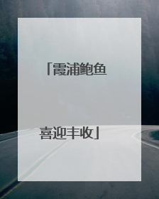 霞浦鲍鱼喜迎丰收