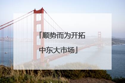 顺势而为开拓中东大市场