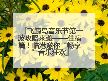 飞鲸岛音乐节第一波攻略来袭——住宿篇！临港邀你“畅享”音乐狂欢