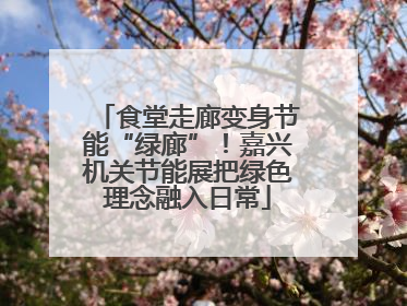 食堂走廊变身节能“绿廊”！嘉兴机关节能展把绿色理念融入日常