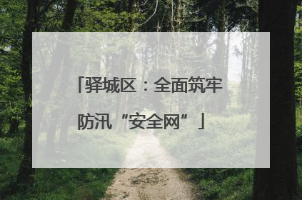 驿城区：全面筑牢防汛“安全网”