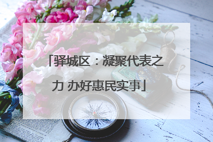驿城区：凝聚代表之力 办好惠民实事