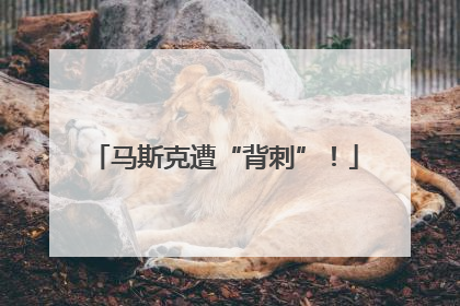 马斯克遭“背刺”！