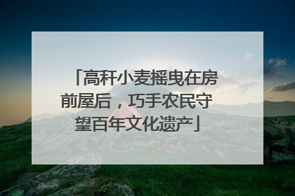 高秆小麦摇曳在房前屋后，巧手农民守望百年文化遗产