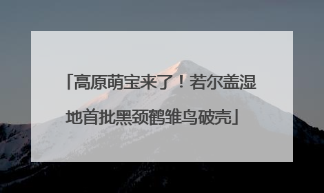 高原萌宝来了！若尔盖湿地首批黑颈鹤雏鸟破壳