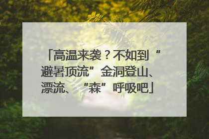 高温来袭？不如到“避暑顶流”金洞登山、漂流、“森”呼吸吧