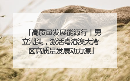 高质量发展能源行｜勇立潮头，激活粤港澳大湾区高质量发展动力源