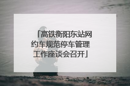 高铁衡阳东站网约车规范停车管理工作座谈会召开