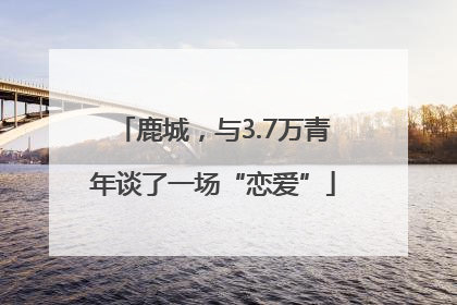 鹿城，与3.7万青年谈了一场“恋爱”
