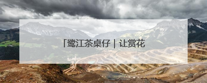 鹭江茶桌仔｜让赏花经济“四季花开”