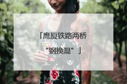 鹰厦铁路两桥“钢换混”