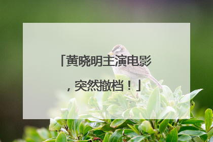 黄晓明主演电影，突然撤档！