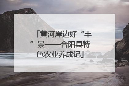 黄河岸边好“丰”景——合阳县特色农业养成记
