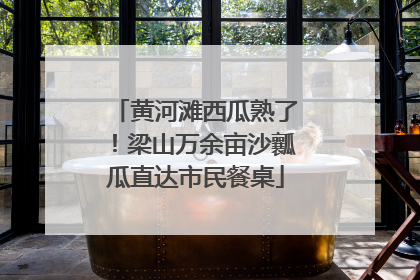黄河滩西瓜熟了！梁山万余亩沙瓤瓜直达市民餐桌
