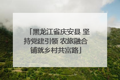黑龙江省庆安县 坚持党建引领 农旅融合铺就乡村共富路
