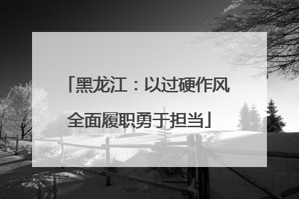 黑龙江：以过硬作风全面履职勇于担当