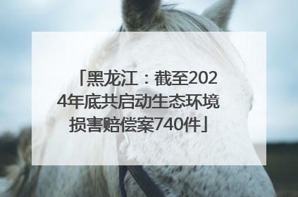 黑龙江：截至2024年底共启动生态环境损害赔偿案740件