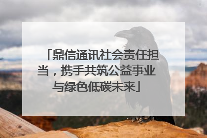 鼎信通讯社会责任担当，携手共筑公益事业与绿色低碳未来
