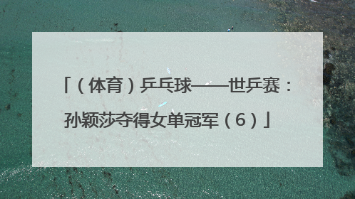 （体育）乒乓球——世乒赛：孙颖莎夺得女单冠军（6）