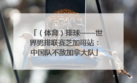（体育）排球——世界男排联赛芝加哥站：中国队不敌加拿大队
