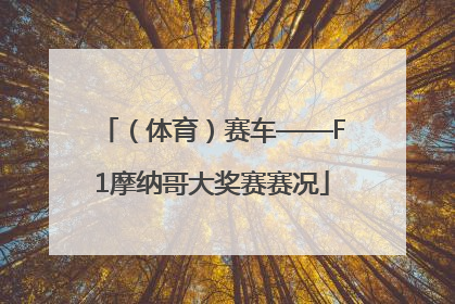 （体育）赛车——F1摩纳哥大奖赛赛况