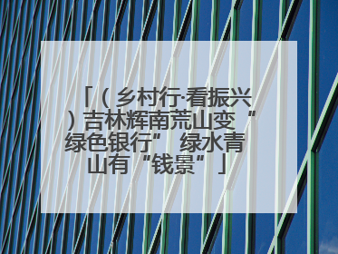 （乡村行·看振兴）吉林辉南荒山变“绿色银行” 绿水青山有“钱景”