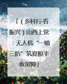 （乡村行·看振兴）山西上党：无人机“一喷三防”筑夏粮丰收屏障
