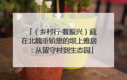 （乡村行·看振兴）藏在北魏重镇里的坝上雅居：从留守村到生态园