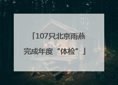 107只北京雨燕完成年度“体检”