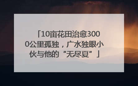 10亩花田治愈3000公里孤独，广水独眼小伙与他的“无尽夏”