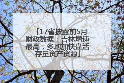 17省披露前5月财政数据：吉林增速最高，多地加快盘活存量资产资源