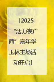 2025“活力夜广西”嘉年华玉林主场活动开启