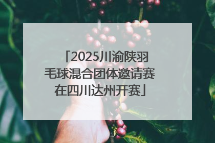 2025川渝陕羽毛球混合团体邀请赛在四川达州开赛