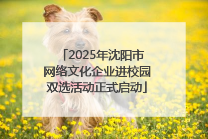 2025年沈阳市网络文化企业进校园双选活动正式启动