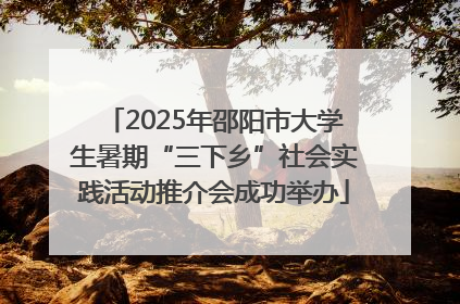 2025年邵阳市大学生暑期“三下乡”社会实践活动推介会成功举办