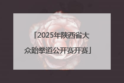 2025年陕西省大众跆拳道公开赛开赛