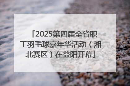 2025第四届全省职工羽毛球嘉年华活动（湘北赛区）在益阳开幕