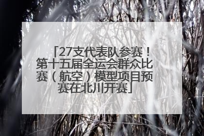 27支代表队参赛！第十五届全运会群众比赛（航空）模型项目预赛在北川开赛