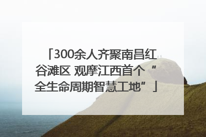 300余人齐聚南昌红谷滩区 观摩江西首个“全生命周期智慧工地”