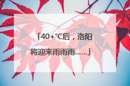 40+℃后，洛阳将迎来雨雨雨……