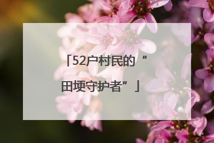 52户村民的“田埂守护者”
