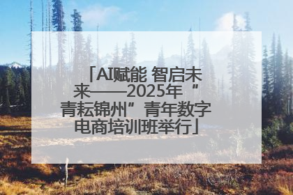 AI赋能 智启未来——2025年“青耘锦州”青年数字电商培训班举行