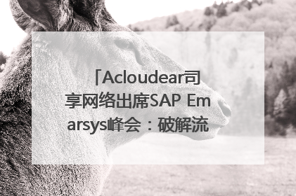 Acloudear司享网络出席SAP Emarsys峰会：破解流量困局，驱动精准增长
