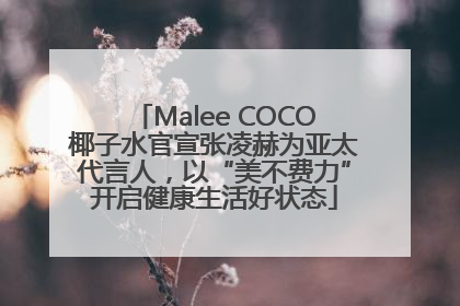 Malee COCO椰子水官宣张凌赫为亚太代言人，以“美不费力”开启健康生活好状态