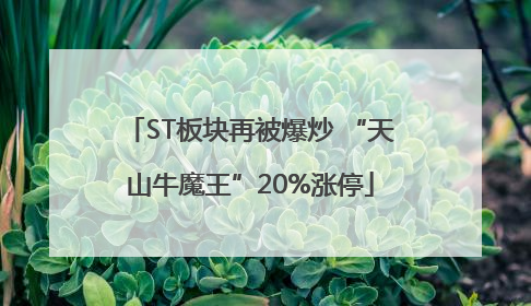 ST板块再被爆炒 “天山牛魔王”20%涨停